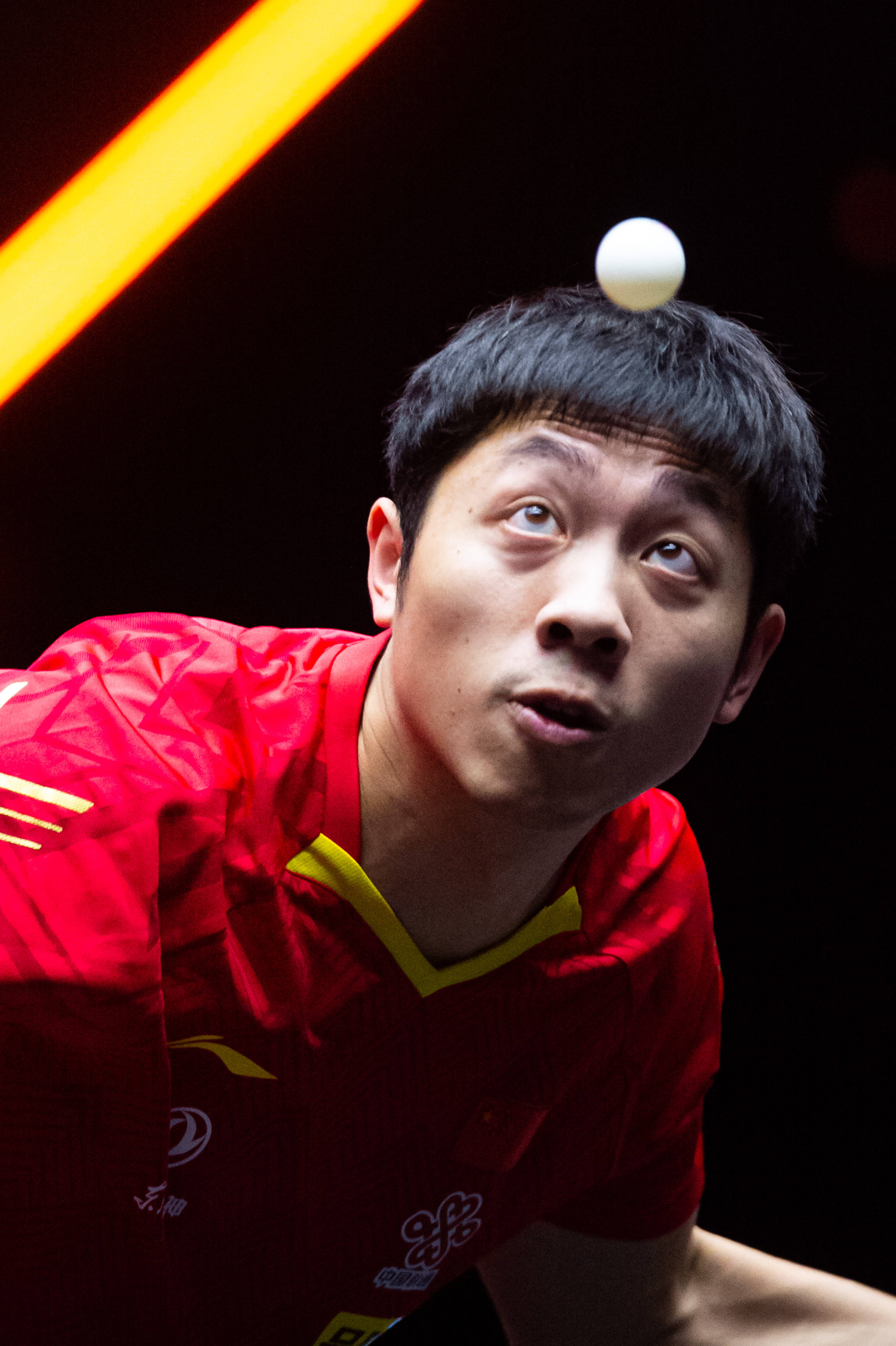 比利时乒乓球队横扫德国乒乓球队，许昕惊艳世界的简单介绍