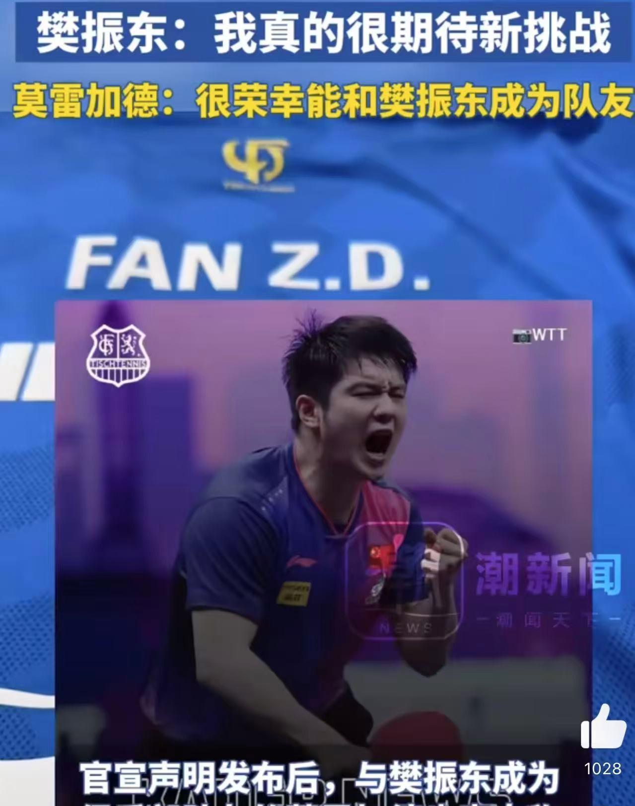 包含奥地利乒乓球队横扫英国乒乓球队,樊振东爆发神勇的词条 包含奥地利乒乓球队横扫英国乒乓球队,樊振东爆发神勇的词条