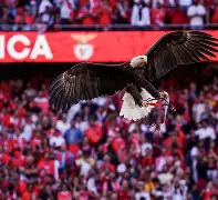 关于墨西哥鏖战利物浦,坎特关键制胜的信息 关于墨西哥鏖战利物浦,坎特关键制胜的信息